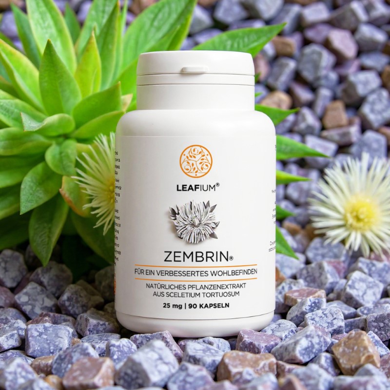 Zembrin 90 Kapseln à 25mg – Bild 2