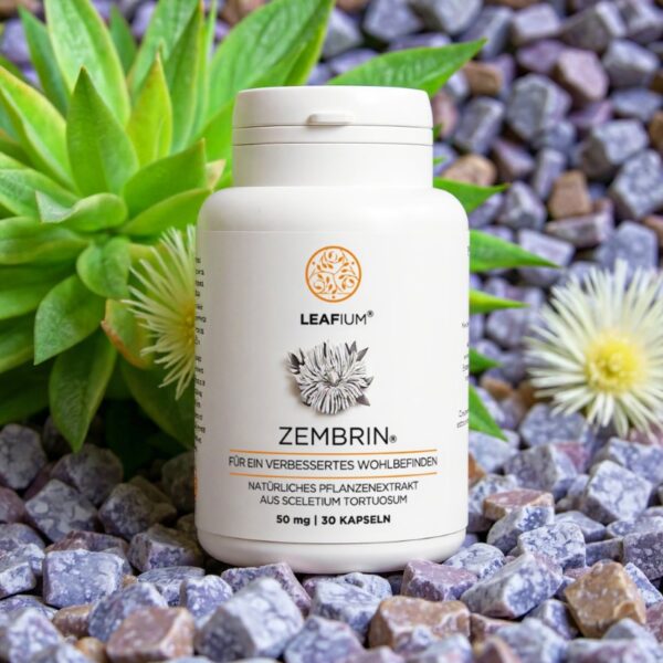 Zembrin 50MG/30 KAPSELN 3 MONATSPAKET 30% SPAREN – Bild 2