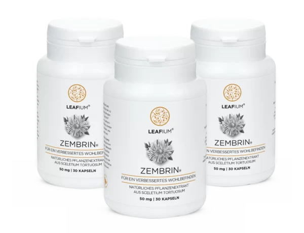 Zembrin 50MG/30 KAPSELN 3 MONATSPAKET 30% SPAREN